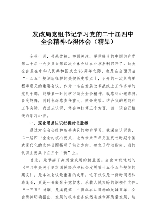 发改局党组书记学习党的二十届四中全会精神心得体会（精品）