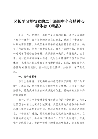 区长学习贯彻党的二十届四中全会精神心得体会（精品）