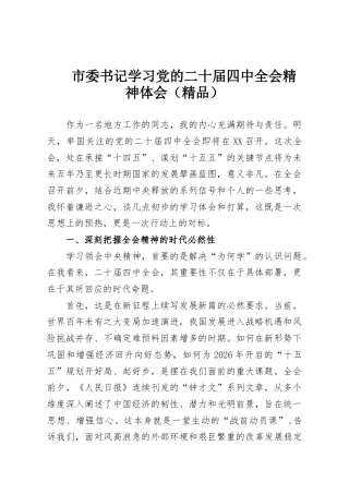 市委书记学习党的二十届四中全会精神体会（精品）