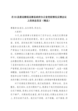 在XX县委巡察组巡察县政府办公室党组情况反馈会议上的表态发言（精品）
