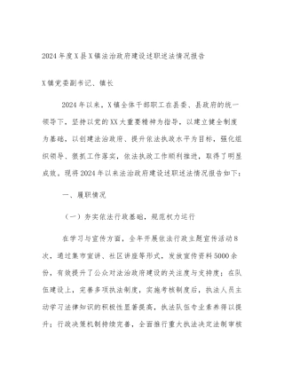 2024年度X县X镇法治政府建设述职述法情况报告
