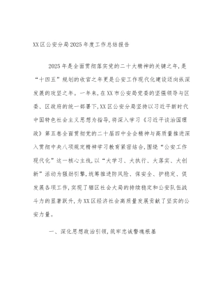XX区公安分局2025年度工作总结报告