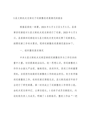 X县文联机关支部关于巡察整改进展情况的报告