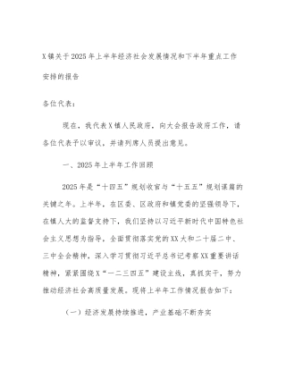X镇关于2025年上半年经济社会发展情况和下半年重点工作安排的报告