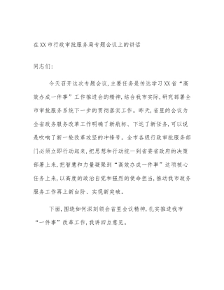 在XX市行政审批服务局专题会议上的讲话