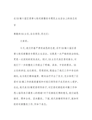 在XX镇六届区委第七轮巡察整改专题民主生活会上的表态发言
