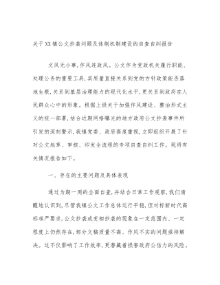 关于XX镇公文抄袭问题及体制机制建设的自查自纠报告