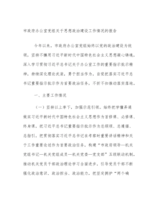 市政府办公室党组关于思想政治建设工作情况的报告