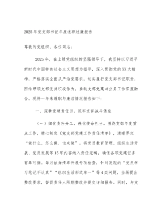 2025年党支部书记年度述职述廉报告