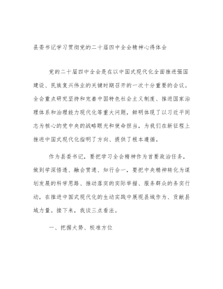 县委书记学习贯彻党的二十届四中全会精神心得体会