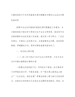 乡镇党委班子中央环保督察反馈问题整改专题民主生活会对照检查材料