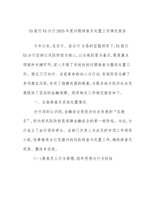 XX银行XX分行2025年度问题排查及处置工作情况报告