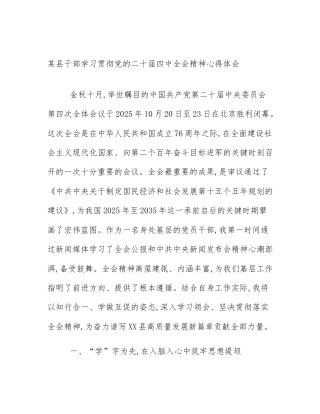 某县干部学习贯彻党的二十届四中全会精神心得体会