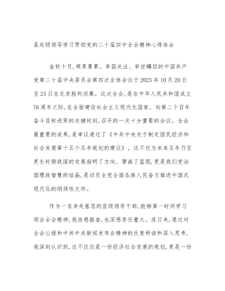 县处级领导学习贯彻党的二十届四中全会精神心得体会