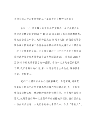县领导深入学习贯彻党的二十届四中全会精神心得体会