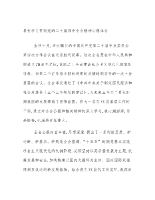 县长学习贯彻党的二十届四中全会精神心得体会