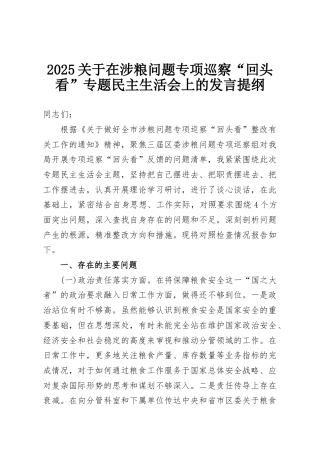 2025关于在涉粮问题专项巡察“回头看”专题民主生活会上的发言提纲