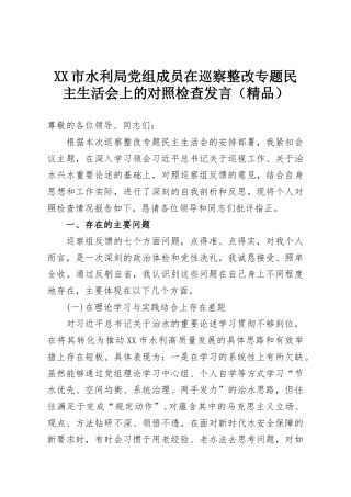 XX市水利局党组成员在巡察整改专题民主生活会上的对照检查发言（精品）