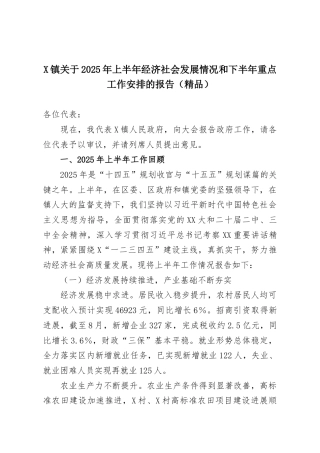 X镇关于2025年上半年经济社会发展情况和下半年重点工作安排的报告（精品）