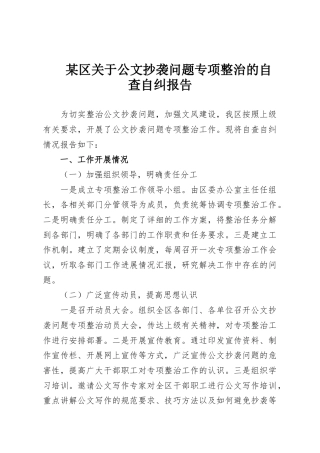 某区关于公文抄袭问题专项整治的自查自纠报告