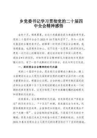 乡党委书记学习贯彻党的二十届四中全会精神感悟