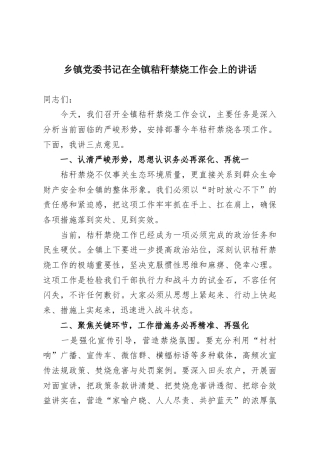 乡镇党委书记在全镇秸秆禁烧工作会上的讲话