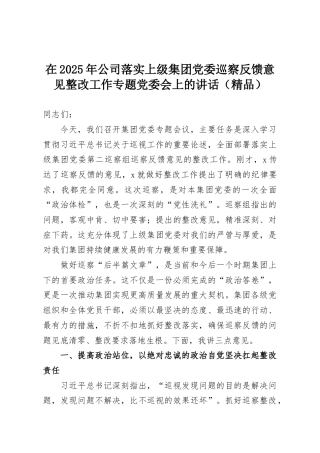 在2025年公司落实上级集团党委巡察反馈意见整改工作专题党委会上的讲话（精品）
