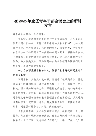 在2025年全区青年干部座谈会上的研讨发言