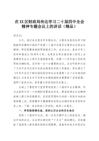 在XX区财政局传达学习二十届四中全会精神专题会议上的讲话（精品）