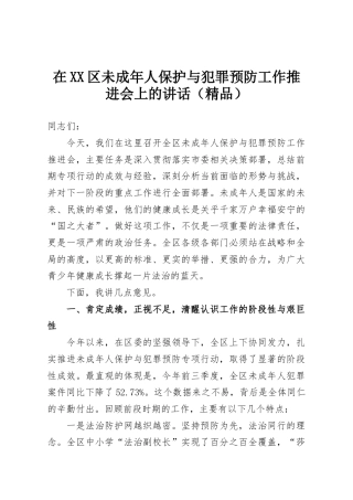 在XX区未成年人保护与犯罪预防工作推进会上的讲话（精品）