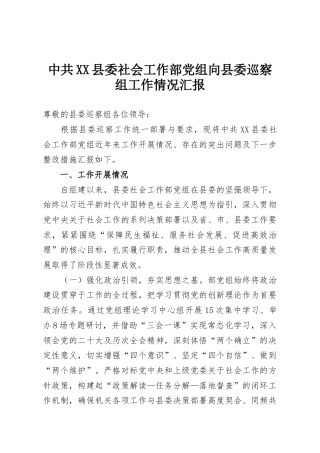 中共XX县委社会工作部党组向县委巡察组工作情况汇报