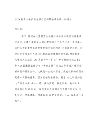 在XX县青少年护苗专项行动部署推进会议上的讲话