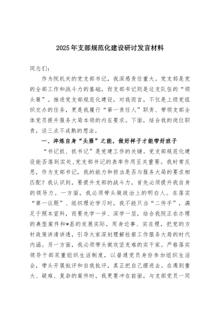 2025年支部规范化建设研讨发言材料