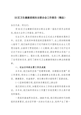 XX区卫生健康系统妇女联合会工作报告（精品）