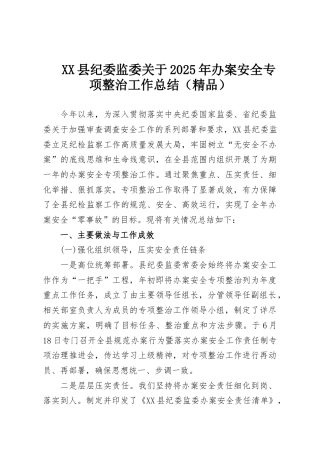 XX县纪委监委关于2025年办案安全专项整治工作总结（精品）