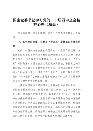 国企党委书记学习党的二十届四中全会精神心得（精品）