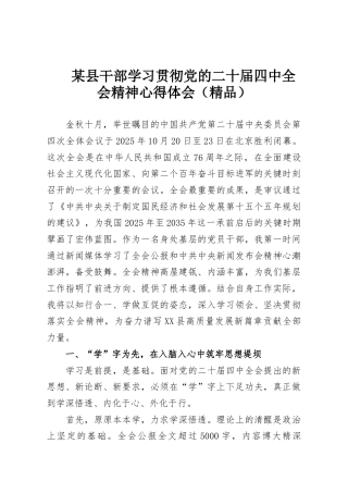 某县干部学习贯彻党的二十届四中全会精神心得体会（精品）