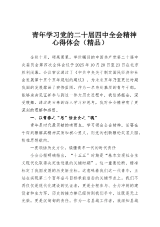 青年学习党的二十届四中全会精神心得体会（精品）