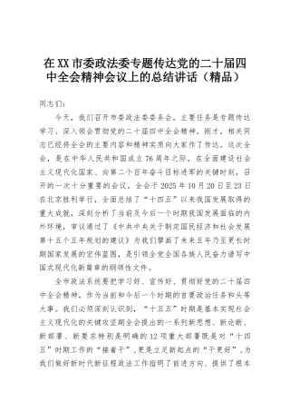 在XX市委政法委专题传达党的二十届四中全会精神会议上的总结讲话（精品）