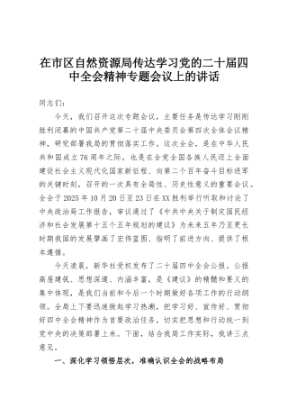 在市区自然资源局传达学习党的二十届四中全会精神专题会议上的讲话