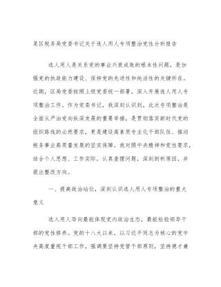某区税务局党委书记关于选人用人专项整治党性分析报告