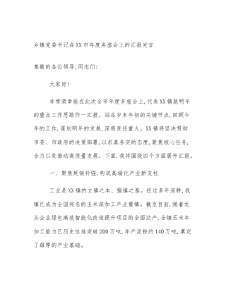 乡镇党委书记在XX市年度务虚会上的汇报发言