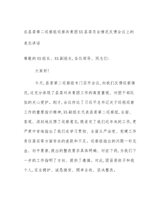 在县委第二巡察组巡察共青团XX县委员会情况反馈会议上的表态讲话