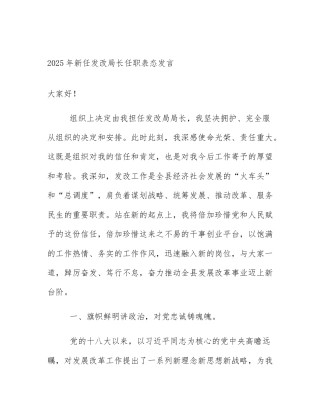 2025年新任发改局长任职表态发言