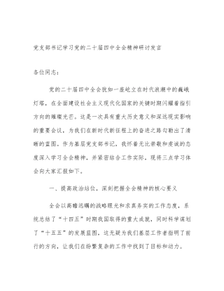 党支部书记学习党的二十届四中全会精神研讨发言