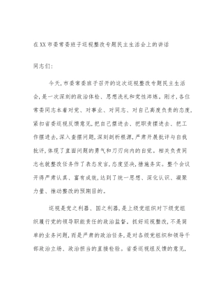 在XX市委常委班子巡视整改专题民主生活会上的讲话