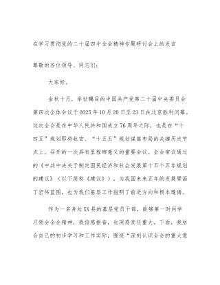 在学习贯彻党的二十届四中全会精神专题研讨会上的发言