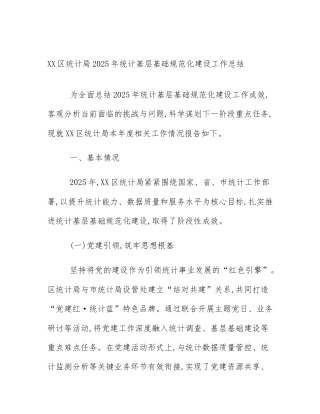 XX区统计局2025年统计基层基础规范化建设工作总结