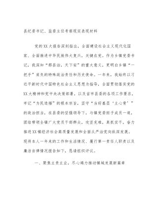 县纪委书记、监委主任考察现实表现材料