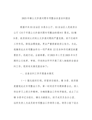 2025年镇公文抄袭问题专项整治自查自纠报告